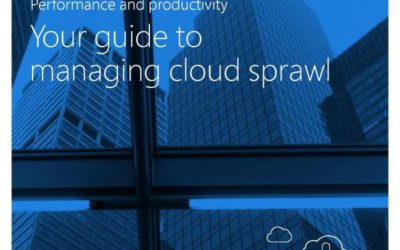 Performance and Productivity: Your Guide to Managing Cloud Sprawl