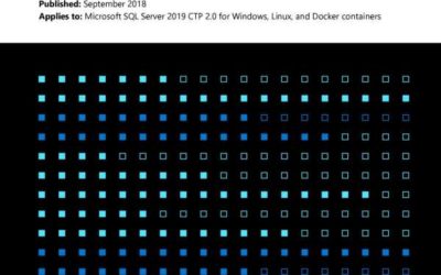Microsoft SQL Server 2019