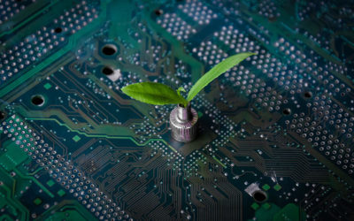 4 ways AI helps business protect the environment