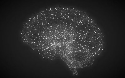 Nine Essentials For Enabling An AI-Ready Culture And Business