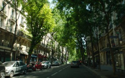 Customer story: Landgren