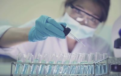 Systems Imagination uses SQL Server 2019 Big Data Clusters to deliver cutting-edge medical insights